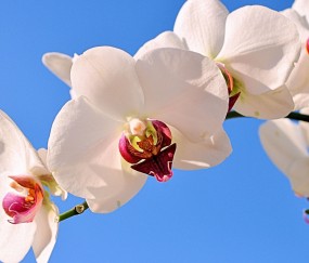 平顶山正规助孕捐卵机构，附正规捐卵机构报名表！
